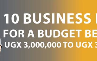 A Guide on 10 Business Ideas for A Budget Between UGX 3,000,000 To UGX 30,000,000 in Uganda