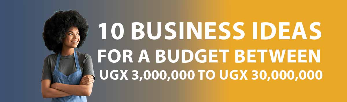 A Guide on 10 Business Ideas for A Budget Between UGX 3,000,000 To UGX 30,000,000 in Uganda
