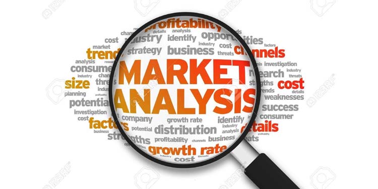 Prepare a Market Analysis
